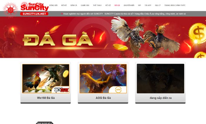 Đá gà Suncity - Địa điểm cá cược lý tưởng cho các tín đồ đam mê đá gà