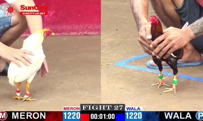 Tỷ lệ cược cập nhật nhanh chóng